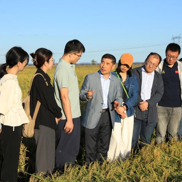 馬軍院士在稻田里授課。辛然攝.jpg